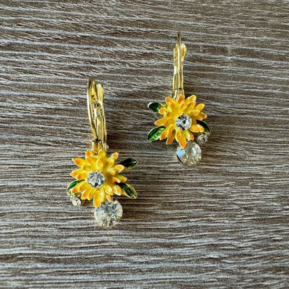 Bohemian hoop earrings N524